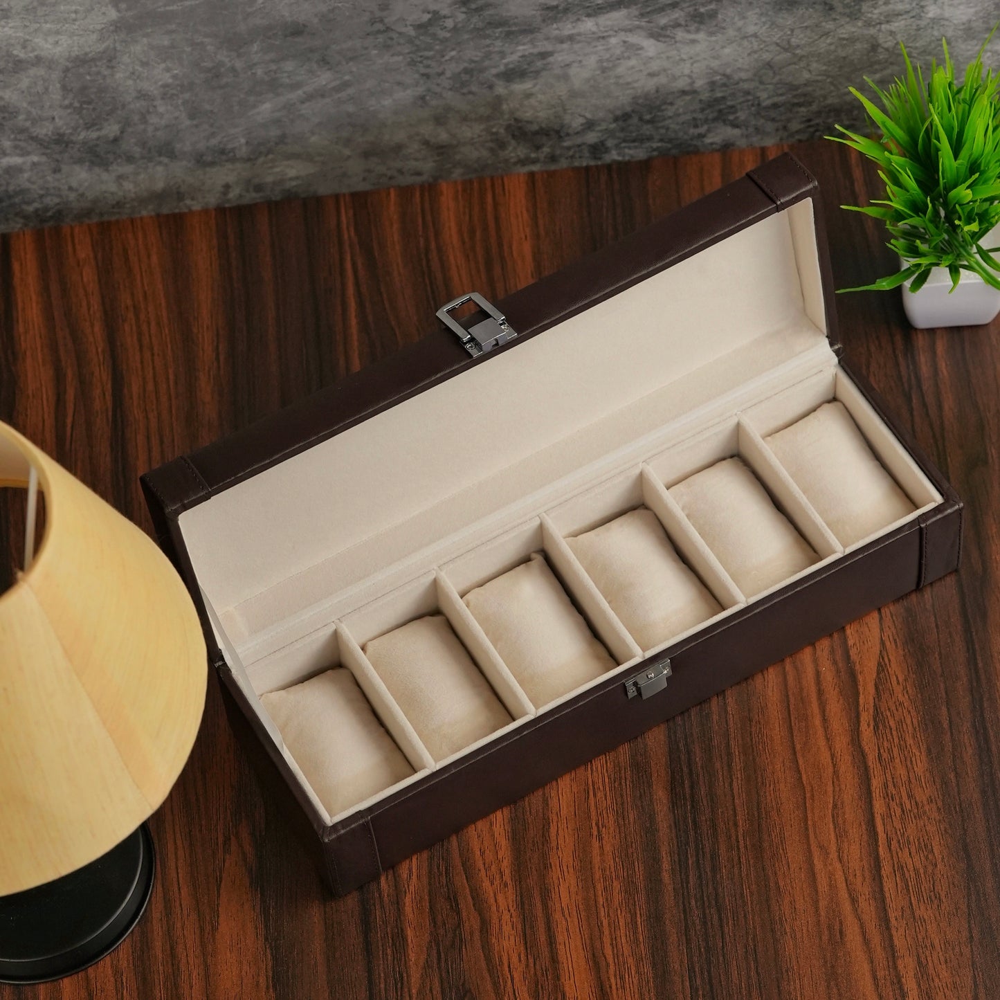 Watch Box by Horoculture